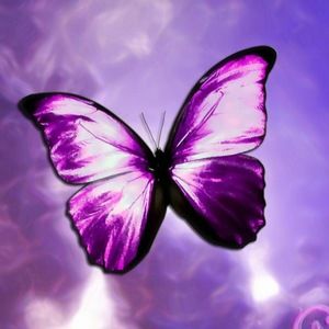 Meet your Posher, Sheila